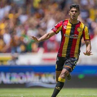 Leones Negros, casi a punto para el Apertura