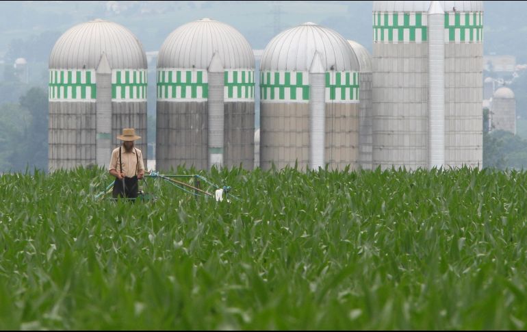 Al primer cuatrimestre de 2018, en México se fabricaron 551 mil toneladas de fertilizantes, 10.7 por ciento menos que hace 5 años. AP/Archivo