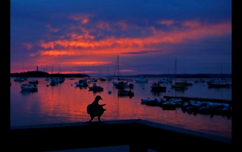 La primera luz al amanecer pinta el cielo sobre el puerto de Falmouth, en la entidad estadounidense de Maine. AP/R. Bukaty