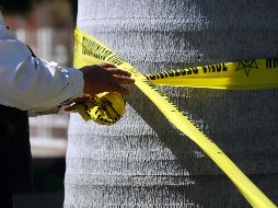  En el lugar se localizaron varios cascajos de arma larga. EL INFORMADOR/ ARCHIVO