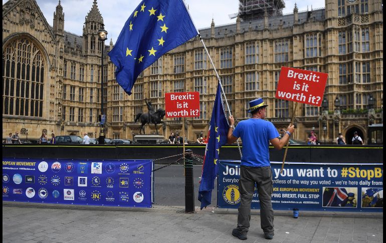 Un manifestante en contra del 