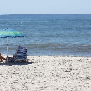Confirman ataque de tiburón frente a isla neoyorquina
