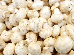 El gremio jalisciense ligado a los hongos, está integrado por productores, recolectores, académicos, chefs, restauranteros y artistas. EL INFORMADOR/ ARCHIVO