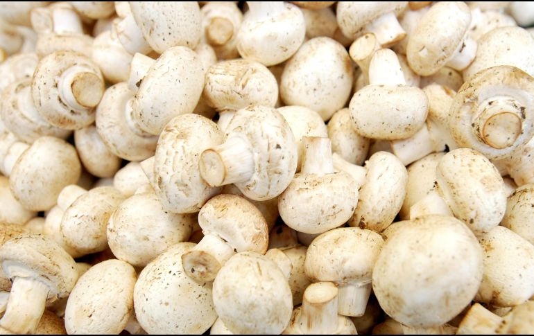 El gremio jalisciense ligado a los hongos, está integrado por productores, recolectores, académicos, chefs, restauranteros y artistas. EL INFORMADOR/ ARCHIVO