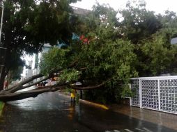 Cabe destacar que en esta ocasión no se registraron problemas en las colonias: El Deán y Alcalde Barranquitas. ESPECIAL / ARCHIVO