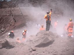 Con el uso de diferentes medios lograron la identificación de otras 10 víctimas. EFE / ARCHIVO