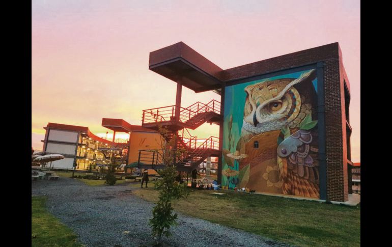 Inspirador. Los exteriores del centro de la UdeG también invitan a la inspiración.