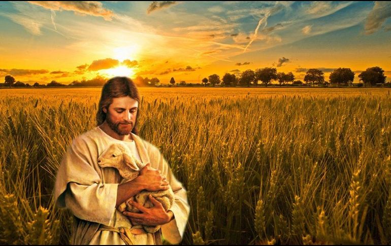 Los ojos de Jesús, como buen Pastor, miraron a esa multitud numerosa y también ahora, como allá en su vida pública, se compadeció de ellos. ESPECIAL