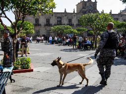 Para hoy, se prevén valores máximos de 32 grados en la Zona Metropolitana. EL INFORMADOR/ARCHIVO