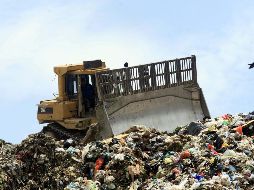 En el recinto con 300 millones de cucarachas americanas se procesan 15 toneladas diarias de residuos de cocina. EL INFORMADOR/Archivo