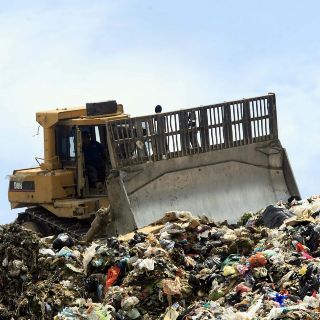 Granja china usa cucarachas para procesar basura de cocina