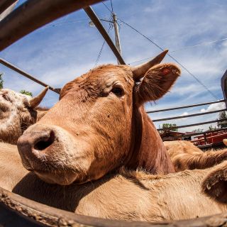 Economía mexicana se recupera y crece en mayo