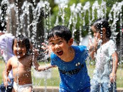 Los expertos consideran que el calentamiento global y el efecto 