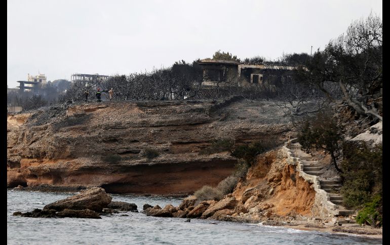 La mayoría de las casas de la población están rodeadas de pinos. Muchos sobrevivientes corrieron hacia la playa y huyeron al mar.