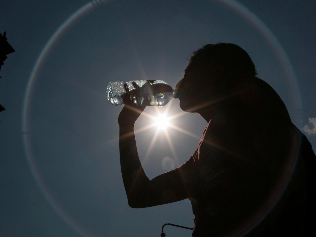 En medio de ola de calor, escasez de agua golpea a Holanda | El Informador