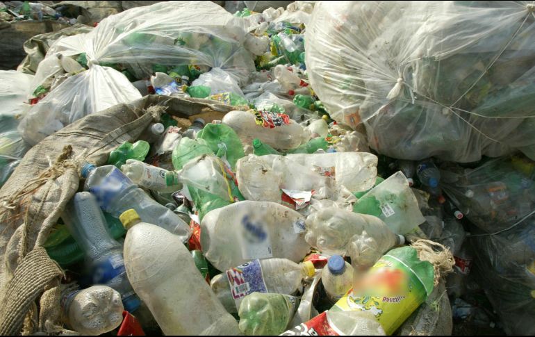 La institución afirma que alrededor de 13 millones de toneladas de plástico son vertidas en los océanos cada año, lo que afecta directamente la biodiversidad, la economía y, potencialmente, la salud.  EL INFORMADOR / ARCHIVO