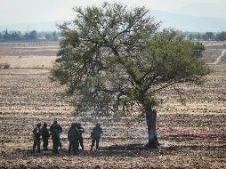 El poliducto Salamanca-Guadalajara fue perforado en varios puntos de su trazo. EL INFORMADOR/Archivo