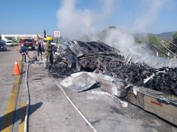 Elementos de Protección Civil y Bomberos Jalisco y municipales acudieron al lugar para sofocar el incendio. ESPECIAL / Protección Civil Jalisco