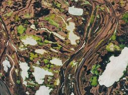 La fisura ocho es una de las más activas de las muchas que se abrieron a raíz del suceso. TWITTER/ @NASA