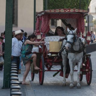 Realizan operativo contra calandrieros; detectan irregularidades