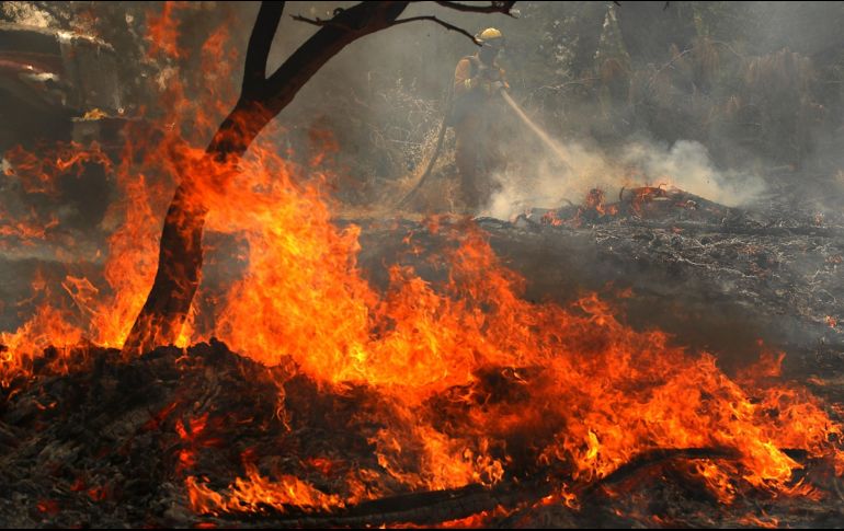 El fuego ha arrasado hasta la fecha alrededor de 32 mil 700 hectáreas. AFP / J. Sullivan
