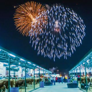 Vive la Feria Nacional Potosina