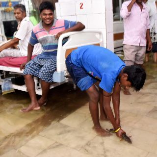 "Pescan" en hospital tras inundaciones en India