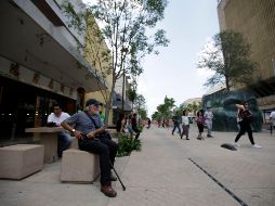 Aseguran que los módulos son necesarios para ofrecer una imagen y equipamiento urbano adecuado al corredor turístico. EL INFORMADOR / ARCHIVO