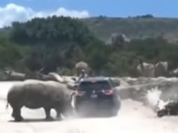 Mediante un comunicado, el zoológico aclaró que se hará responsable de los daños que sufrió la camioneta; señalan que nadie resultó herido. YouTube / Austin Look