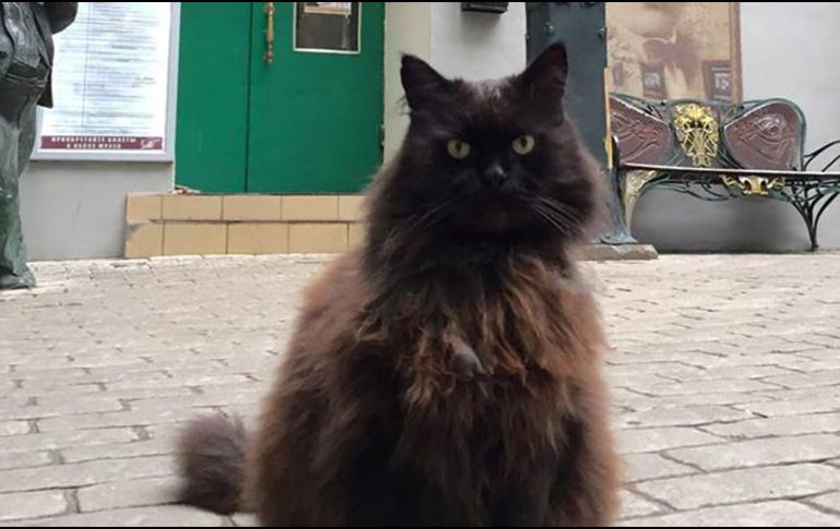 El gato Begemot ha vivido en el museo desde 2005; la policía lo encontró más tarde, sin su collar de marca registrada. FACEBOOK / Bulgakov House