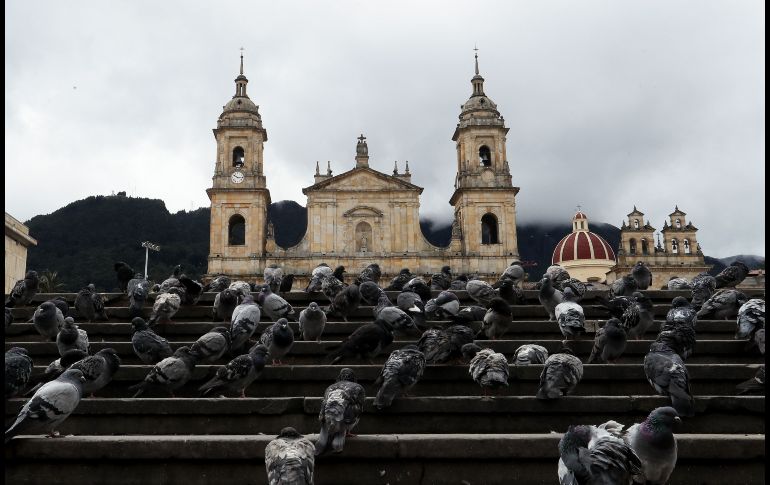 Palomas en la Plaza de Bolívar de Bogotá, Colombia, donde se realizan los preparativos para el 7 de agosto, cuando se traspasará la presidencia entre el actual jefe de Estado, Juan Manuel Santos, y el mandatario electo, Iván Duque. EFE/M. Dueñas