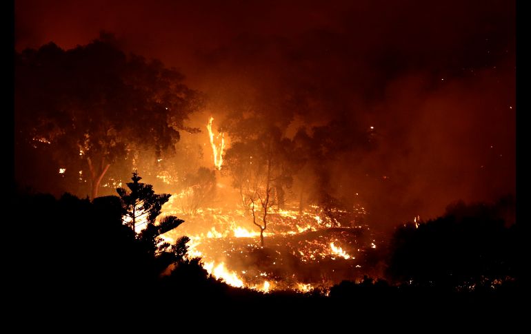 El fuego ya ha calcinado más de un millar de hectáreas, sobre todo de eucalipto. Un total de 810 bomberos combaten el fuego en la zona.