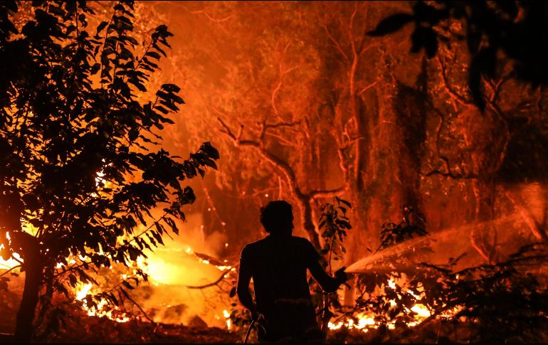 Un hombre combate el incendio forestal que asola Monchique, en Barranco de Banho. EFE/M. Lopes