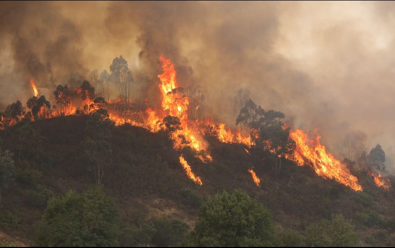 En Francia, se espera que el centro y el noreste del país sean las zonas más afectadas por la ola de calor.  EFE / M. López