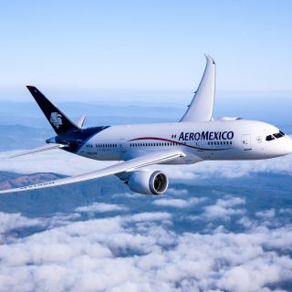 Estadounidenses demandan a Aeroméxico por accidente en Durango