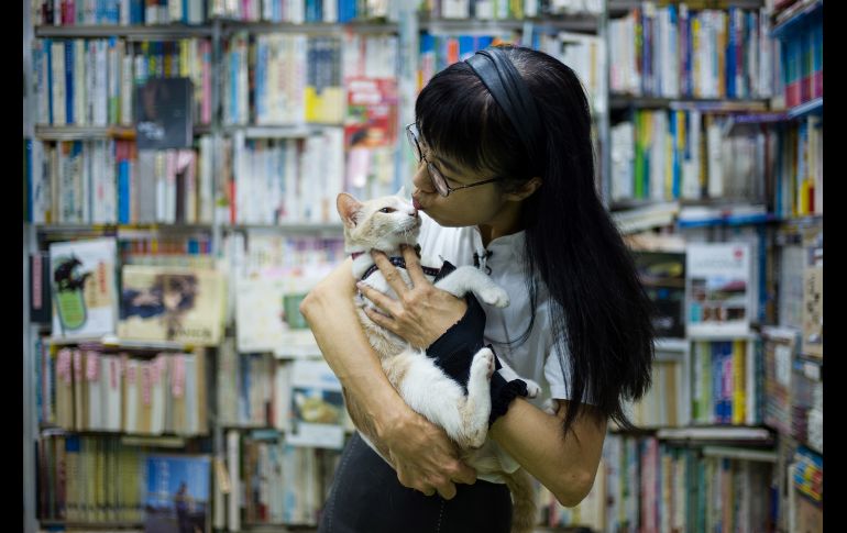 La dueña de la librería Sam Kee en Hong Kong, China, es una amante de los gatos y deja que decenas de callejeros anden por el establecimiento. AFP/A. Wallace
