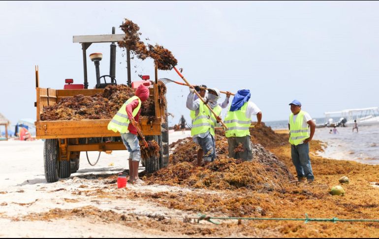 Las barreras respetan la vida marina y el arrecife mesoamericano. NOTIMEX