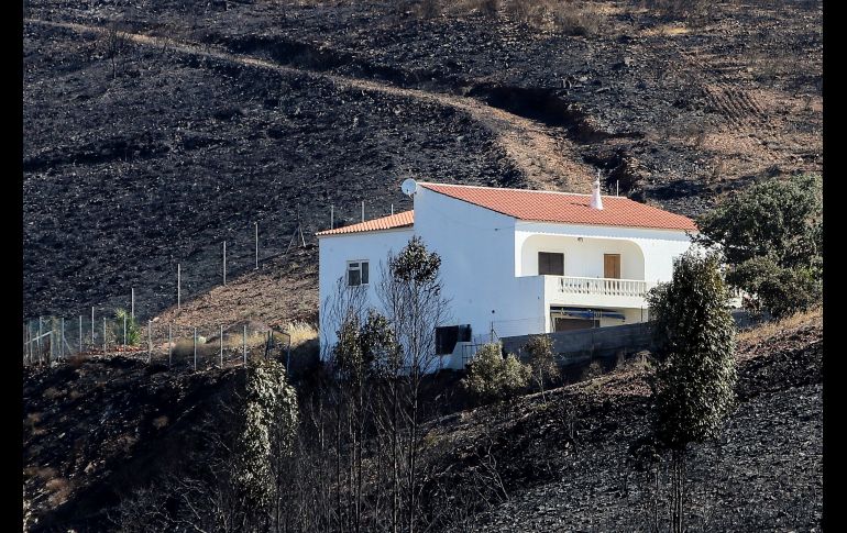 Vista de un área devastada por el incendio forestal en la comarca portuguesa de Monchique, sur de Algarve. El incendio forestal del Algarve, que se declaró el pasado 3 de agosto, ha alcanzado un perímetro de más de 100 kilómetros. EFE/L. Forra