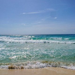 Esperan equipos para instalar barrera contra sargazo en Quintana Roo