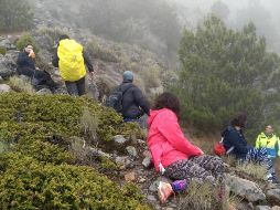 Los individuos se extraviaron al filo de las 10:00 horas. ESPECIAL / UEPCB