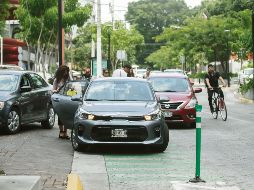 Varios automovilistas se estacionan sobre la ciclovía en López Cotilla, incluso con la tranquilidad para recoger personas, mientras un ciclista tiene que rodear su vía invadida con el riesgo que esto implica. EL INFORMADOR/F. Atilano