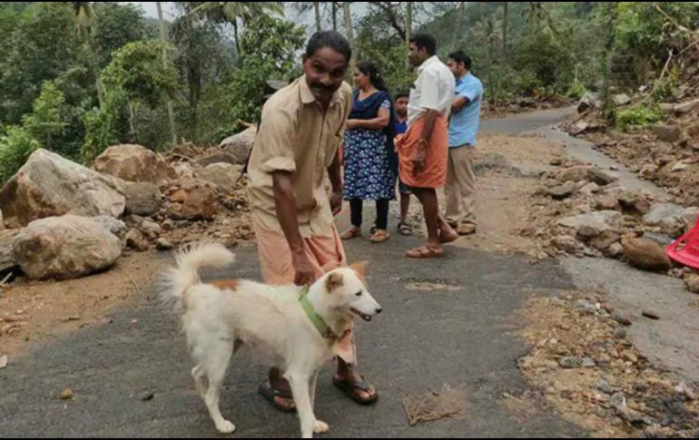 Mohanan P. y su familia dormían cuando el perro empezó a ladrar en torno a las 03:00 horas locales. Apenas salieron, el lodo destruyó su casa. TWITTER / @ndtv