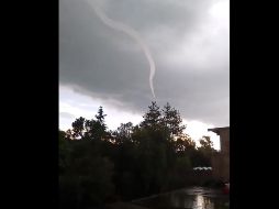 En redes sociales se divulgaron videos y fotografías del fenómeno, que de acuerdo con el alcalde Francisco Robles Badillo, derrumbó 25 árboles. TWITTER / @LucyLopez2601