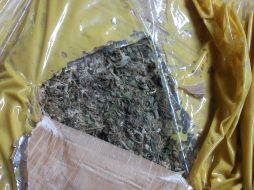 El decomiso es puesto a disposición del agente del Ministerio Público de la Federación, quien continúa con la integración de la carpeta de investigación. EL INFORMADOR/ ARCHIVO