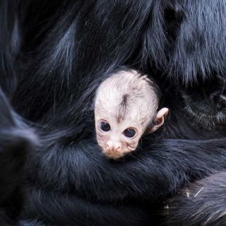 El mundo en imágenes del 16 de agosto de 2018