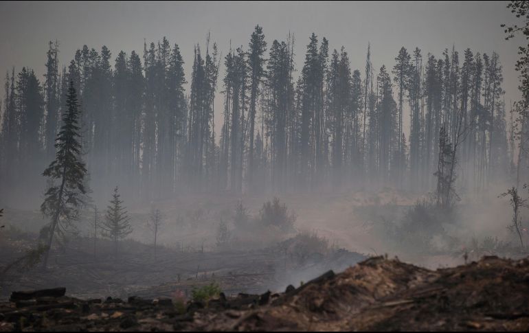 El incendio de Prince George es uno de los cerca de 600 que están activos en la provincia de Columbia Británica de los que unos 50 son especialmente peligrosos.  D. Dyck