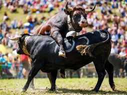 El mundo en imágenes del 19 de agosto de 2018