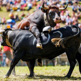 El mundo en imágenes del 19 de agosto de 2018