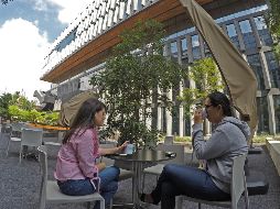 La Perla conectará a distintas colonias de la zona y tendrá distintos espacios al aire libre para la convivencia social. EL INFORMADOR/A. Camacho