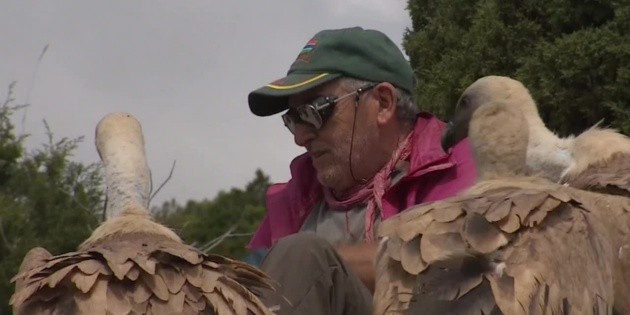 Una vida entre buitres